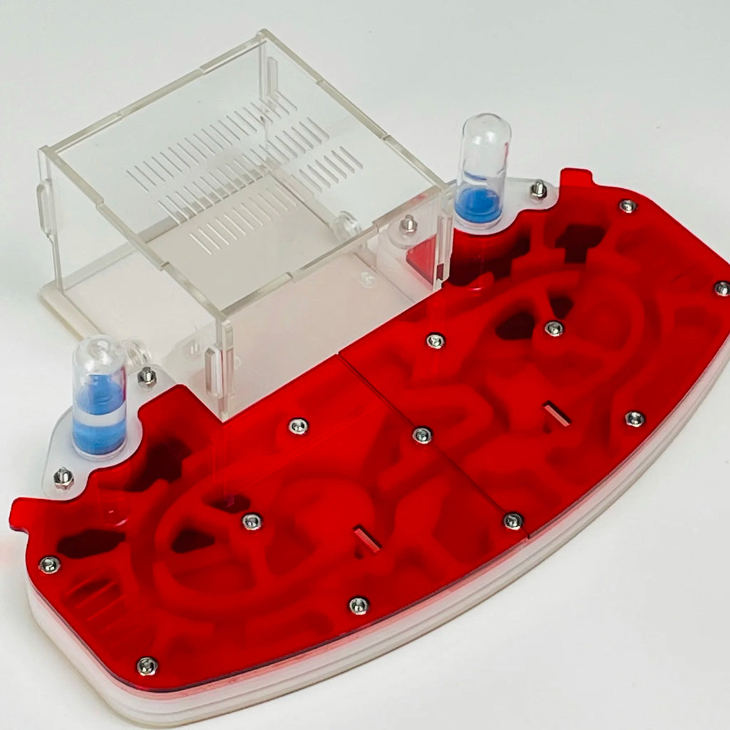 Large Acrylic Ant Habitat