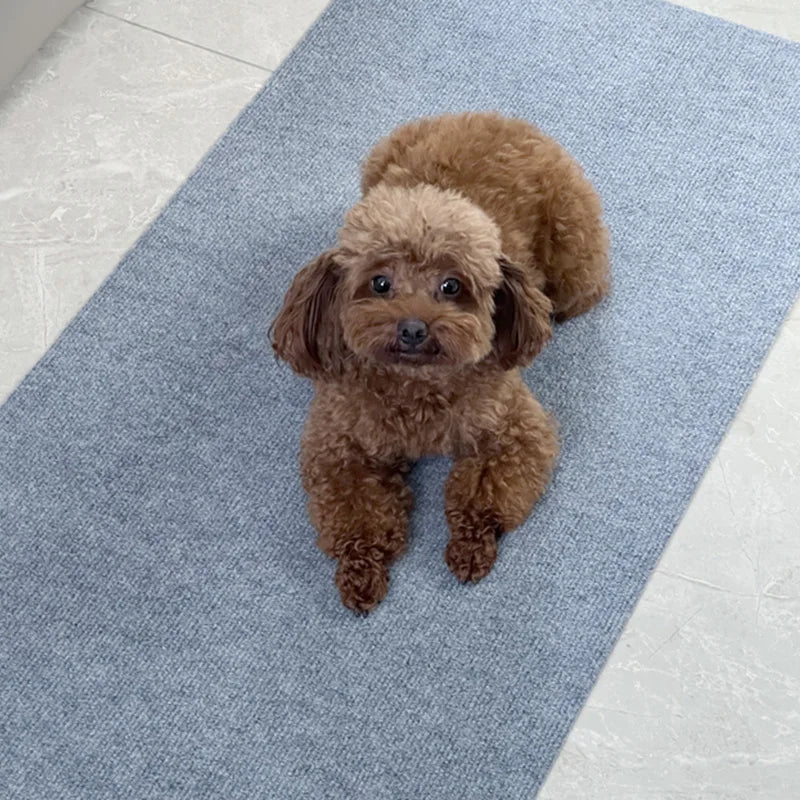 Peel & Stick Carpet Roll