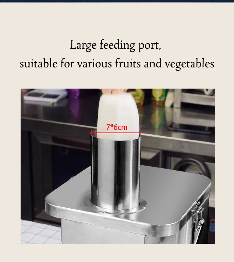 Electric Veggie Processor