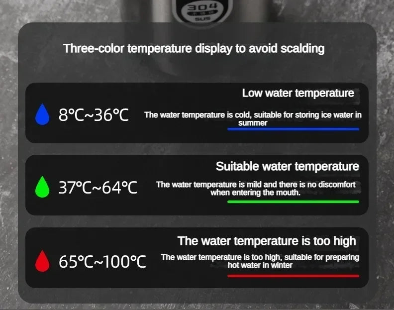 LED Temp Display Thermos Bottle