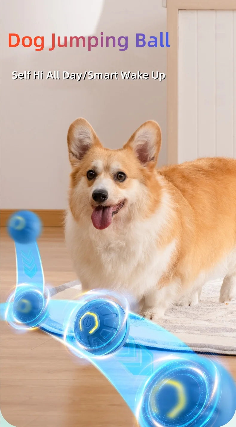 Smart Jumping Pet Ball