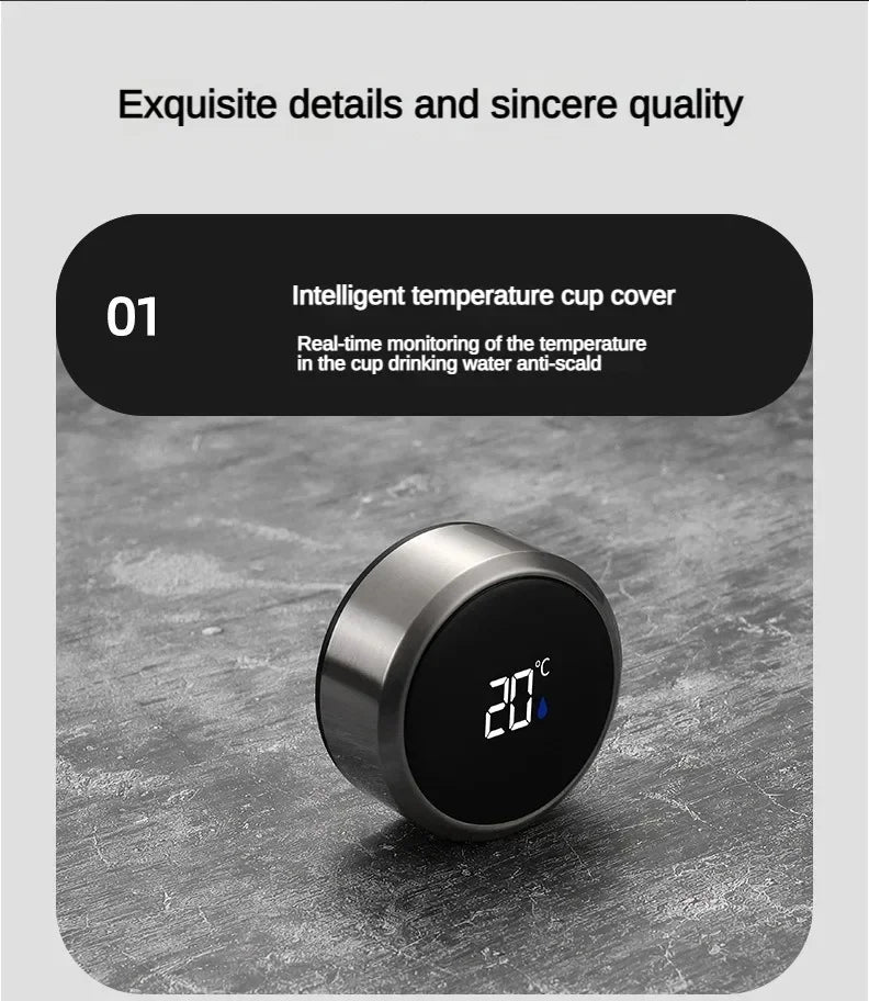 LED Temp Display Thermos Bottle