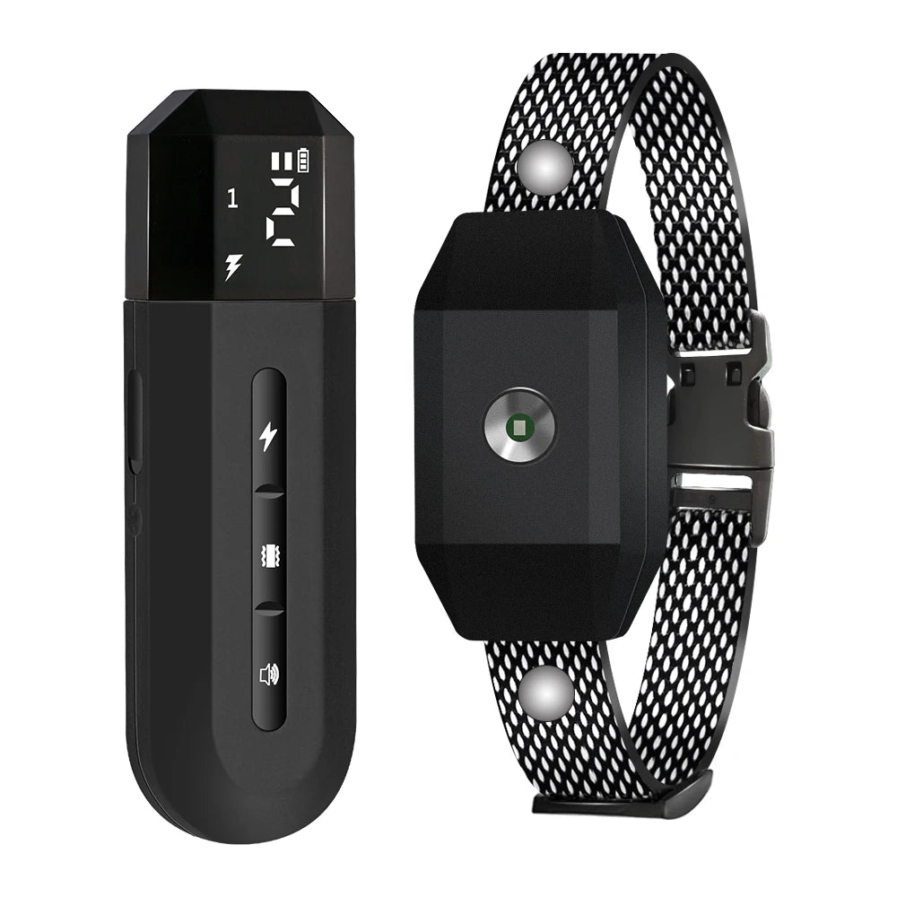 Smart Dog Training Collar