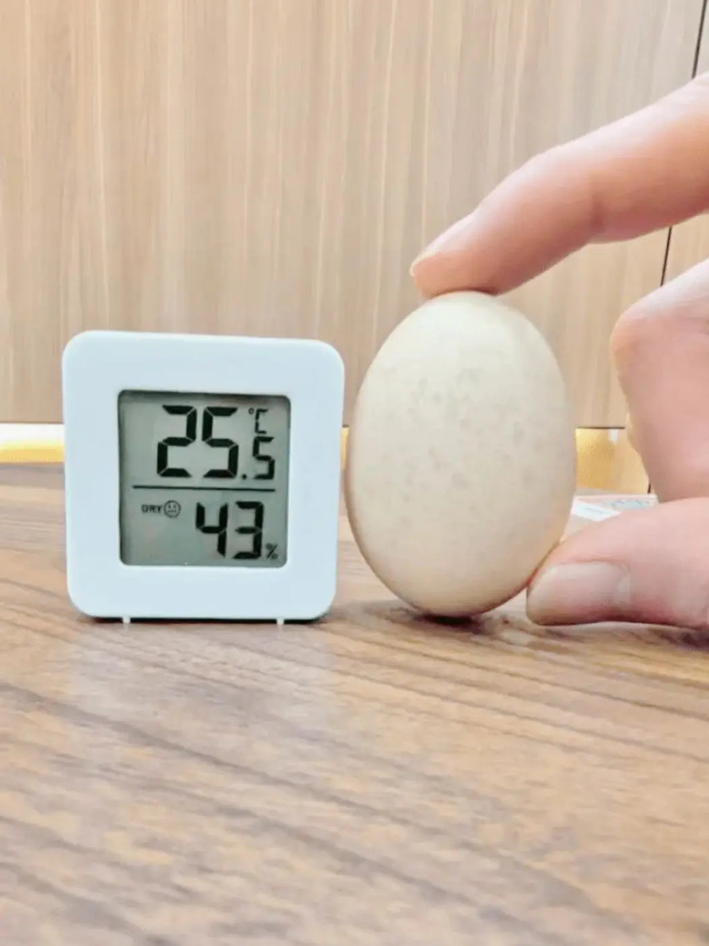 Mini Digital Temp Humidity Meter