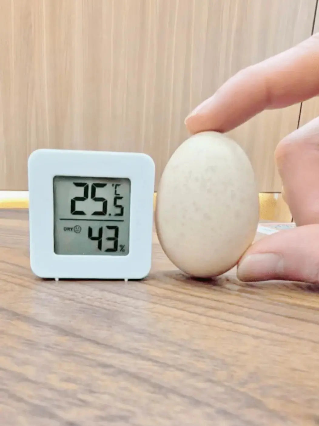 Mini Digital Temp Humidity Meter
