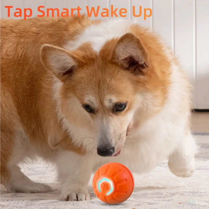 Smart Jumping Pet Ball
