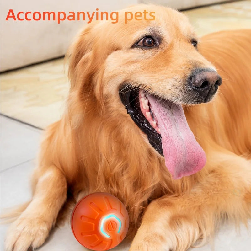Smart Jumping Pet Ball