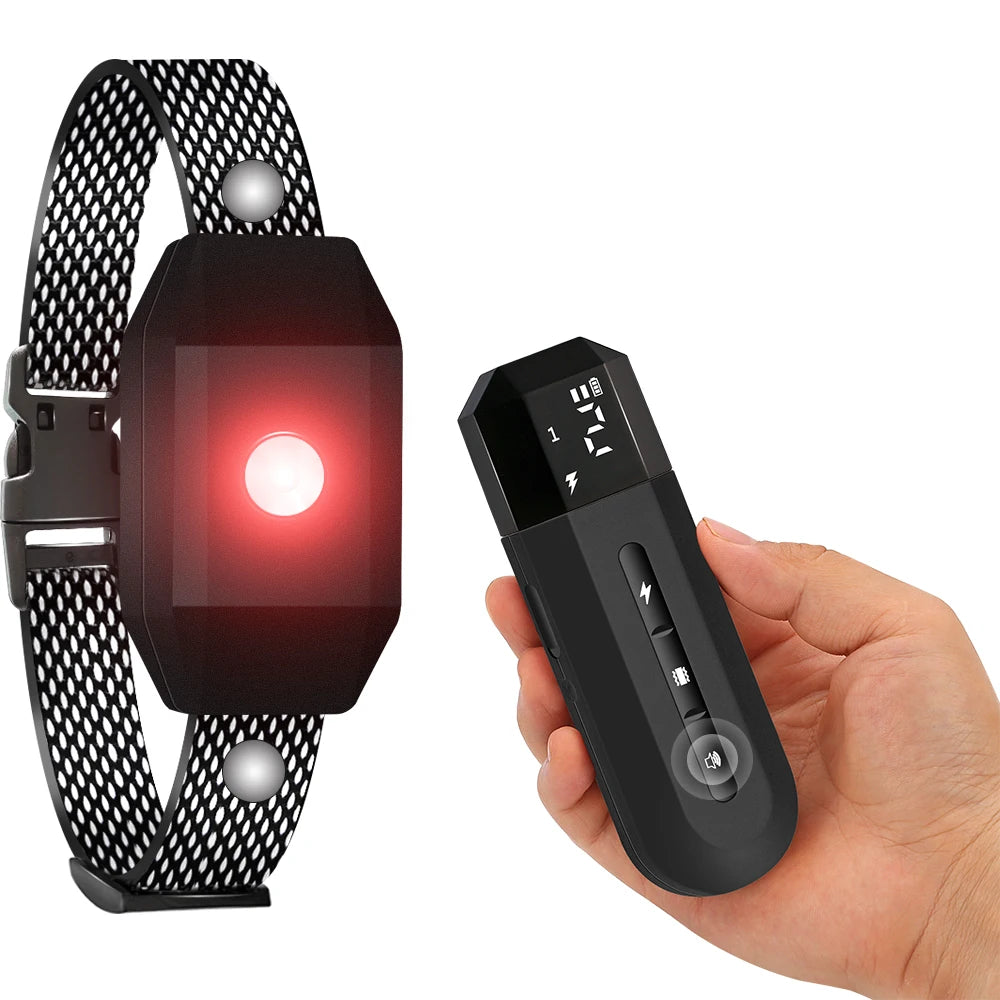 Smart Dog Training Collar