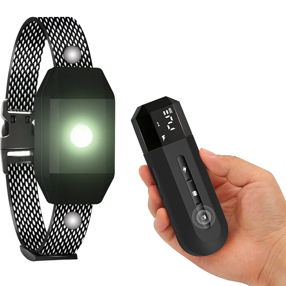 Smart Dog Training Collar